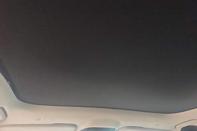 Used Zeekr 001 2021 Ultra-Long Range Single-Motor WE Edition Headliner