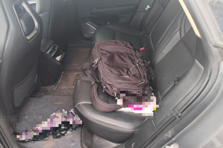 Used Zeekr 001 2021 Long-Range Dual-Motor WE Edition Left Rear Seat