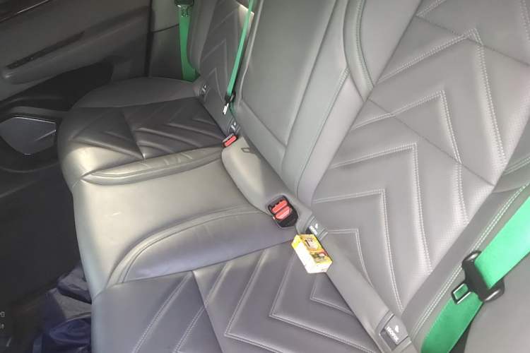 Used Zeekr 001 2021 Ultra-Long Range Dual-Motor YOU Version Left Rear Seat