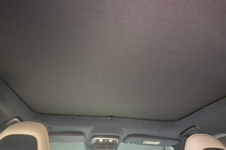 Used Zeekr 001 2021 Ultra-Long Range Dual-Motor YOU Version Headliner