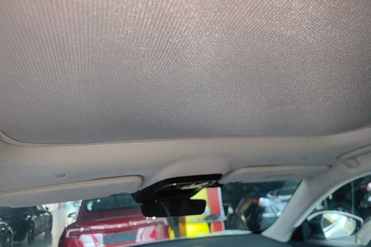 Used Zeekr 001 2021 Long-Range Dual-Motor WE Edition Headliner
