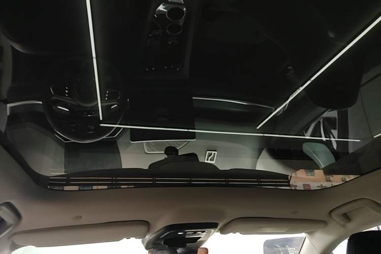 Used Zeekr 001 2021 Long-Range Dual-Motor WE Edition Headliner