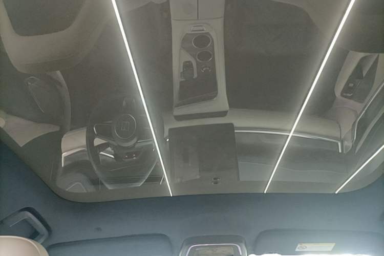 Used Zeekr 001 2021 Ultra-Long Range Dual-Motor YOU Version Headliner