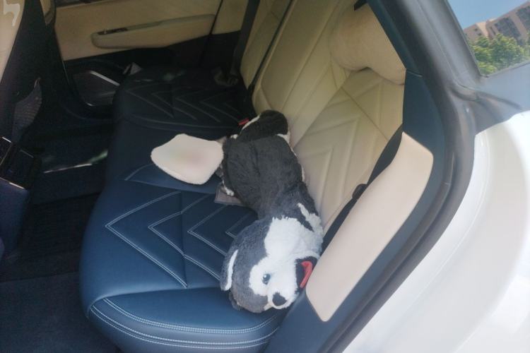 Used Zeekr 001 2021 Ultra-Long Range Single-Motor WE Edition Left Rear Seat