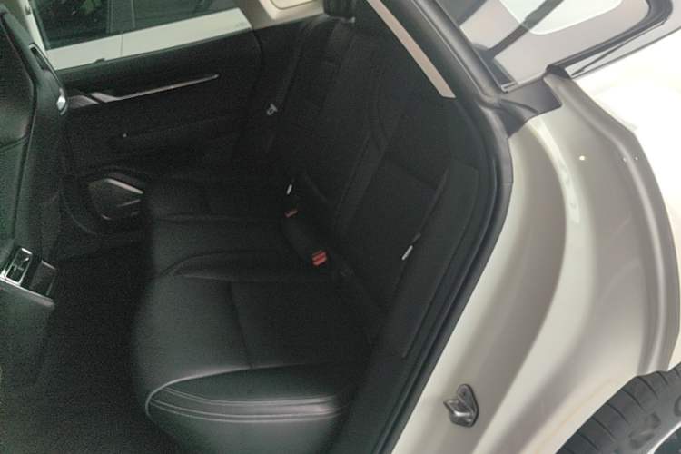 Used Zeekr 001 2021 Long-Range Dual-Motor WE Edition Left Rear Seat