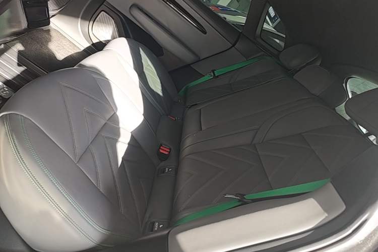 Used Zeekr 001 2022 Long-Range Dual-Motor WE Edition Left Rear Seat