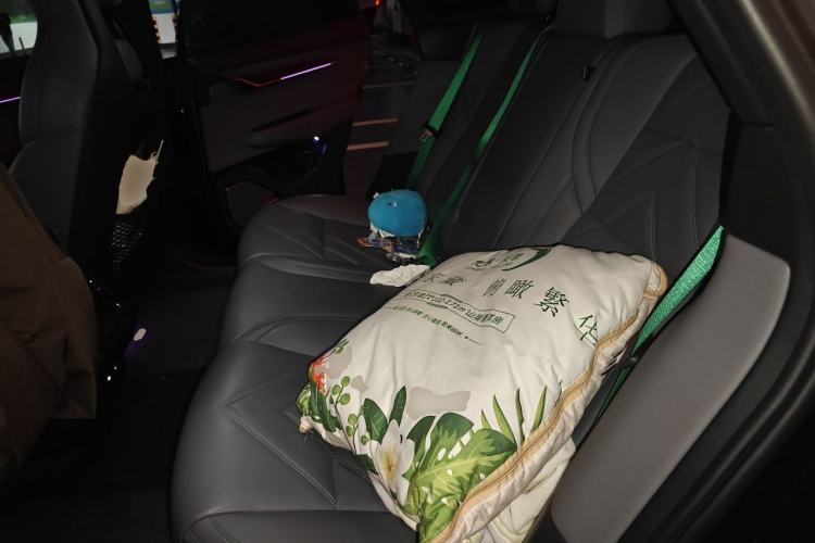 Used Zeekr 001 2022 Long-Range Dual-Motor WE Edition Left Rear Seat