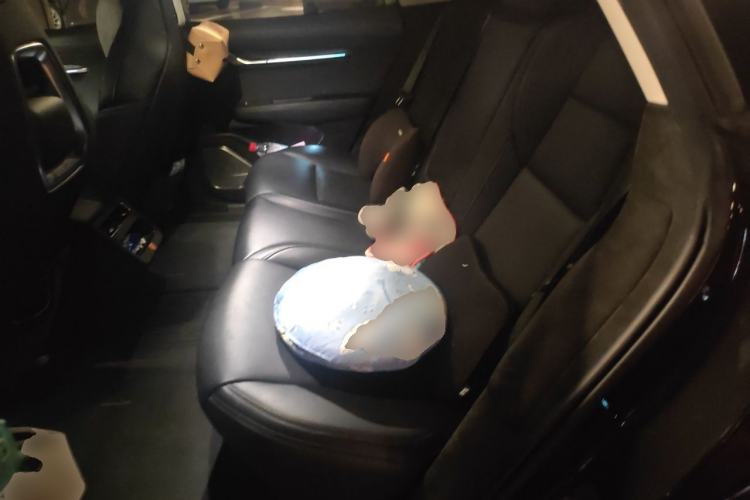 Used Zeekr 001 2022 Long-Range Dual-Motor WE Edition Left Rear Seat