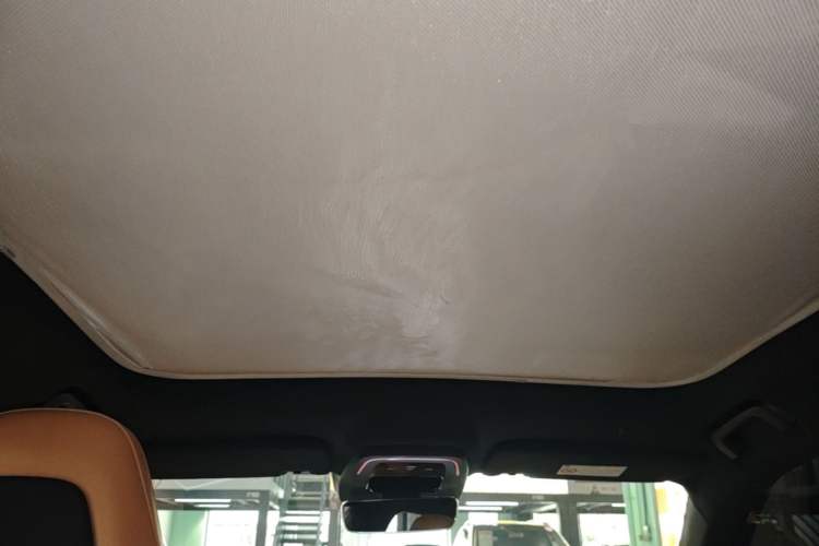 Used Zeekr 001 2022 Ultra-Long Range Dual-Motor YOU Version Headliner