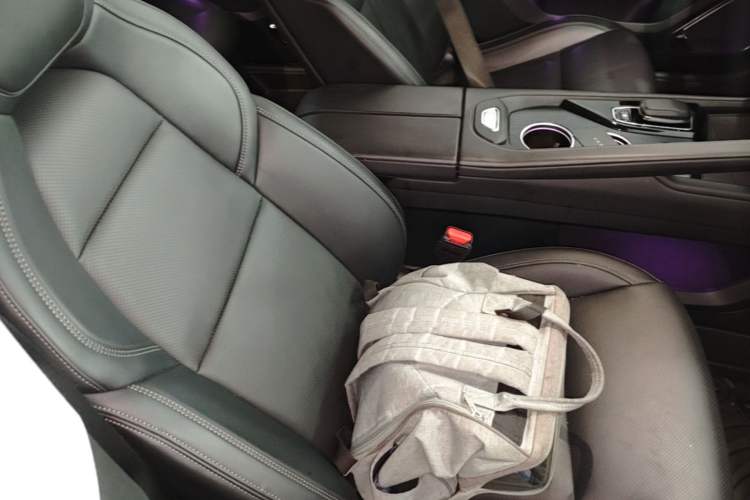 Used Zeekr 001 2022 Long-Range Dual-Motor WE Edition Right Front Seat