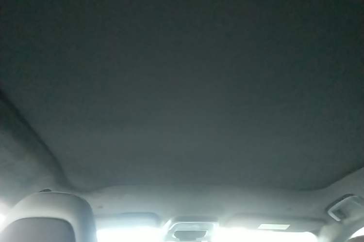 Used Zeekr 001 2022 Long-Range Dual-Motor WE Edition Headliner