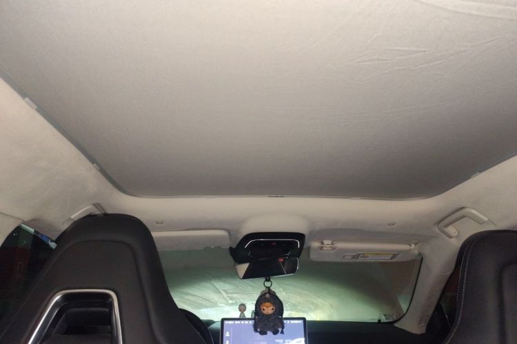 Used Zeekr 001 2022 Long-Range Dual-Motor WE Edition Headliner