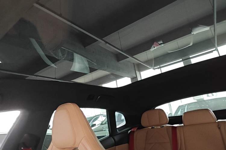 Used Zeekr 001 2022 Ultra-Long Range Dual-Motor YOU Version Headliner