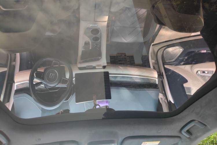 Used Zeekr 001 2022 Ultra-Long Range Dual-Motor YOU Version Headliner