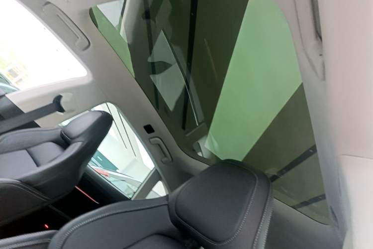 Used Zeekr 001 2022 Long-Range Dual-Motor WE Edition Headliner