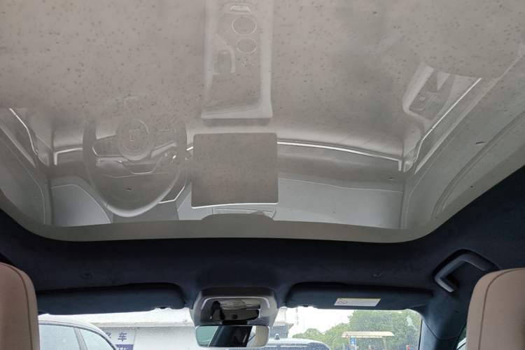 Used Zeekr 001 2022 Long-Range Dual-Motor WE Edition Headliner