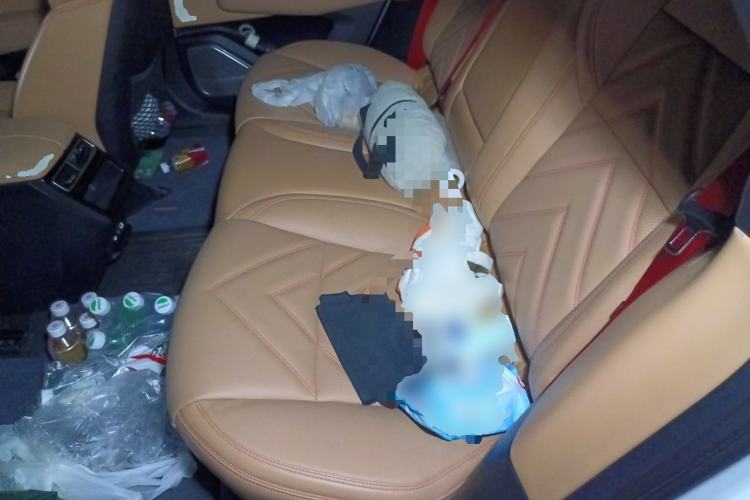 Used Zeekr 001 2022 Ultra-Long Range Single-Motor WE Version Left Rear Seat
