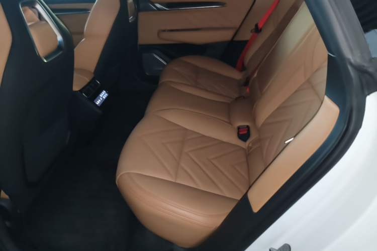 Used Zeekr 001 2022 Ultra-Long Range Dual-Motor YOU Version Left Rear Seat