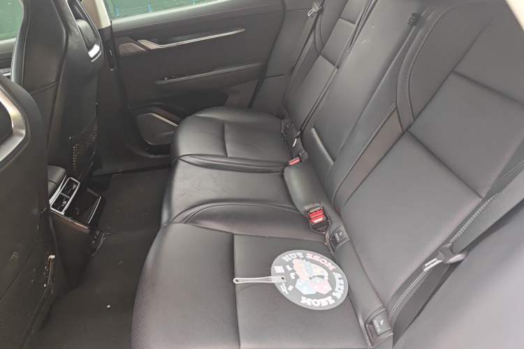Used Zeekr 001 2022 Long-Range Dual-Motor WE Edition Left Rear Seat