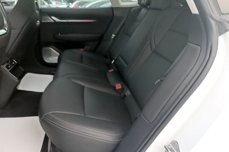 Used Zeekr 001 2022 Long-Range Dual-Motor WE Edition Left Rear Seat