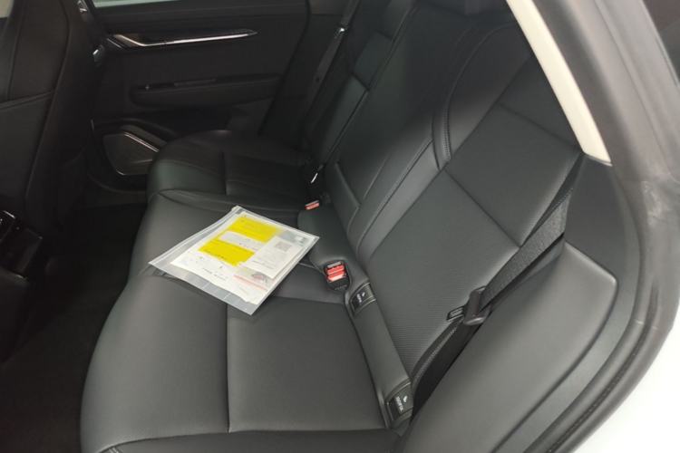Used Zeekr 001 2022 Long-Range Dual-Motor WE Edition Left Rear Seat