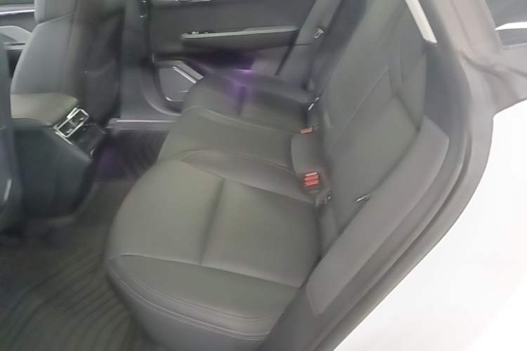 Used Zeekr 001 2022 Long-Range Dual-Motor WE Edition Left Rear Seat