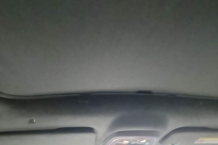 Used Zeekr 001 2023 YOU Edition 100 kWh Headliner
