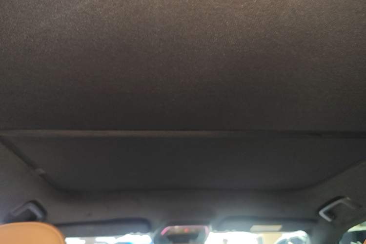Used Zeekr 001 2023 WE Edition 100 kWh Headliner