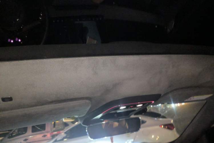 Used Zeekr 001 2023 ME Edition 100 kWh Headliner