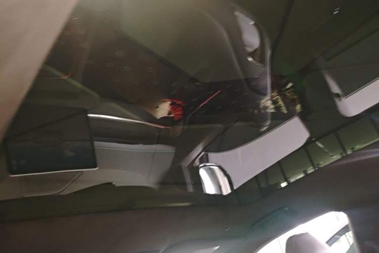Used Zeekr 001 2023 WE Edition 100 kWh Headliner