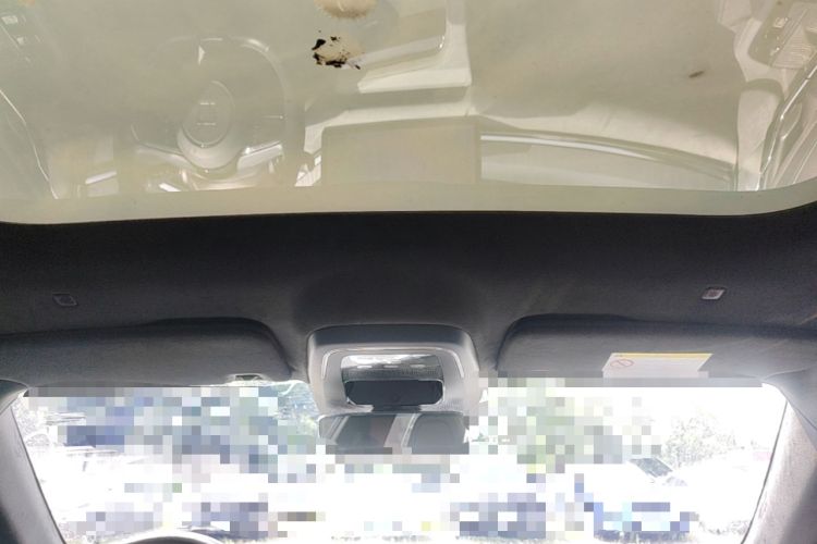 Used Zeekr 001 2023 WE Edition 100 kWh Headliner