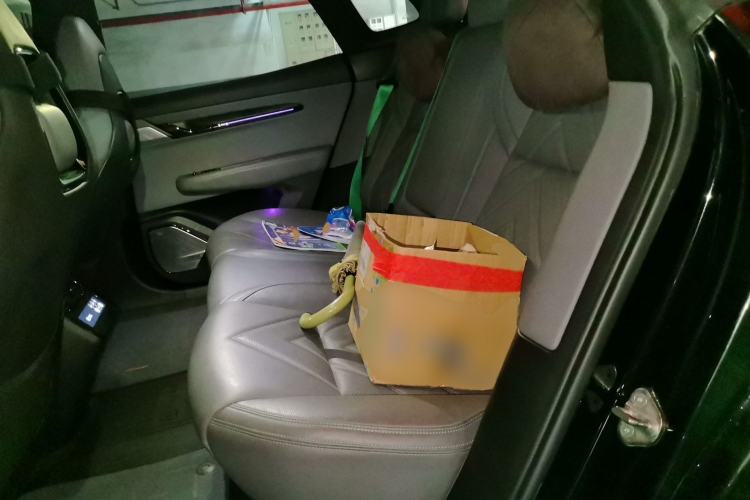 Used Zeekr 001 2023 WE Edition 86 kWh Left Rear Seat