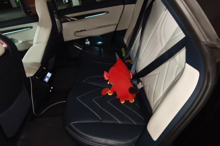 Used Zeekr 001 2023 WE Edition 100 kWh Left Rear Seat