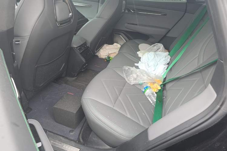 Used Zeekr 001 2023 WE Edition 100 kWh Left Rear Seat