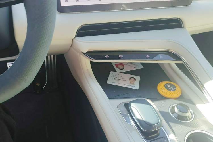 Used Zeekr 001 2023 WE Edition 100 kWh Headliner