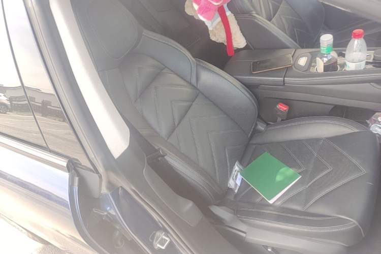 Used Zeekr 001 2023 WE Edition 100 kWh Right Front Seat