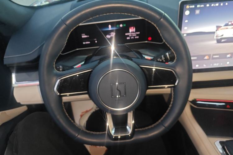 Used Zeekr 001 2023 WE Edition 100 kWh Steering Wheel