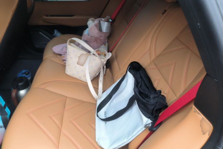 Used Zeekr 001 2023 WE Edition 100 kWh Left Rear Seat