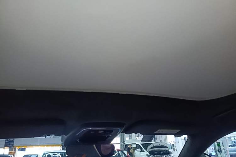 Used Zeekr 001 2023 YOU Edition 100 kWh Headliner