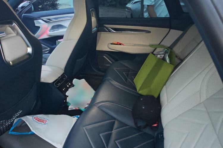 Used Zeekr 001 2023 WE Edition 100 kWh Left Rear Seat