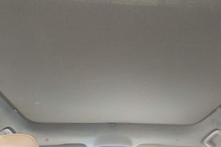 Used Zeekr 001 2023 WE Edition 86 kWh Headliner