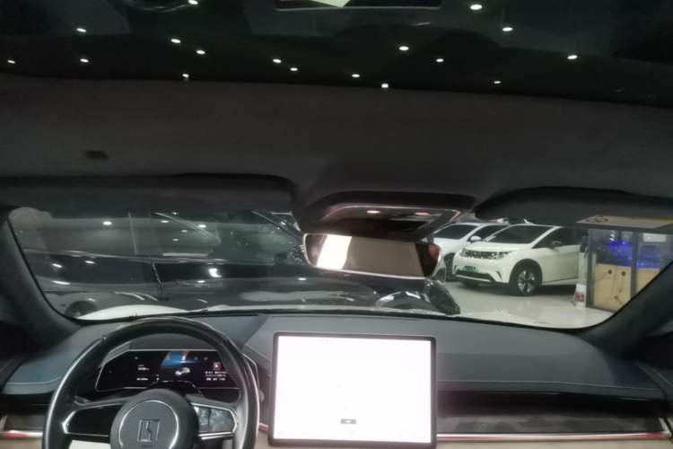 Used Zeekr 001 2023 WE Edition 100 kWh Headliner