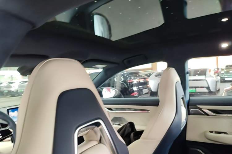 Used Zeekr 001 2023 WE Edition 100 kWh Headliner