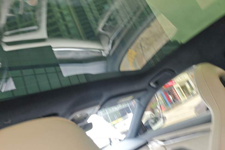 Used Zeekr 001 2023 WE Edition 100 kWh Headliner