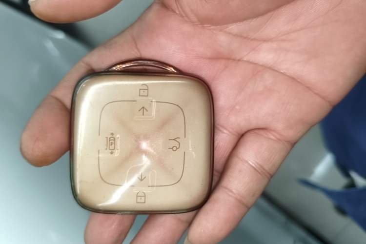 Used Zeekr 001 2023 WE Edition 86 kWh Vehicle Key