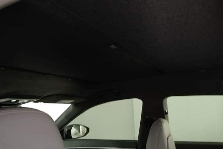 Used Zeekr 001 2024 WE Edition 95 kWh All-Wheel Drive Headliner