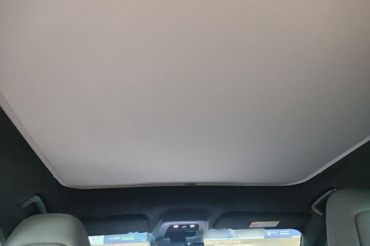 Used Zeekr 001 2024 WE Edition 95 kWh All-Wheel Drive Headliner