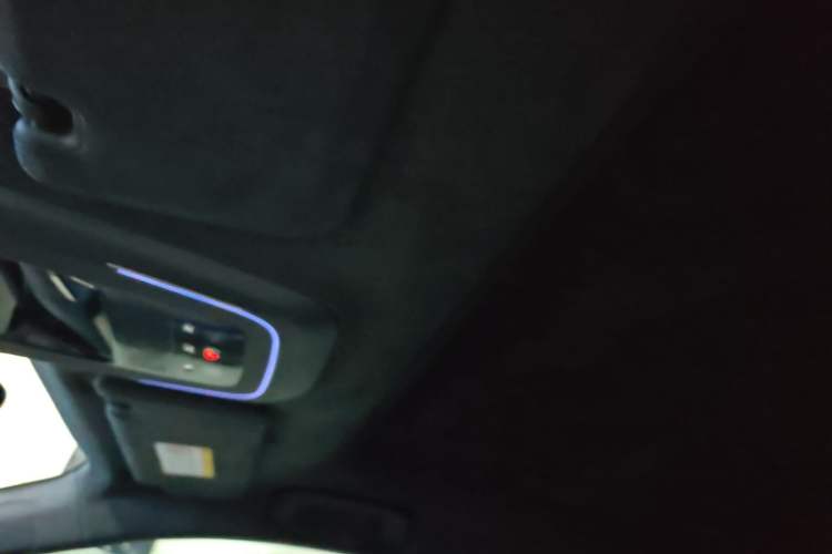 Used Zeekr 001 2024 YOU Edition 100 kWh All-Wheel Drive Headliner