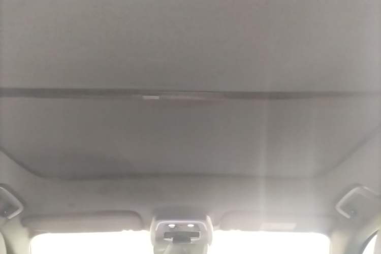Used Zeekr 001 2024 ME Edition 100 kWh All-Wheel Drive Headliner