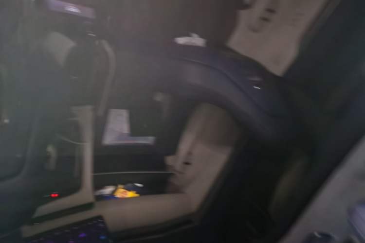Used Zeekr 001 2024 ME Edition 100 kWh All-Wheel Drive Headliner